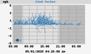 Wind Vector